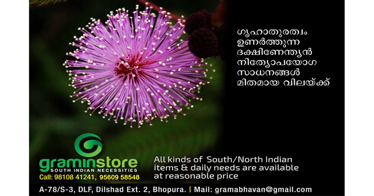 Gramin Store